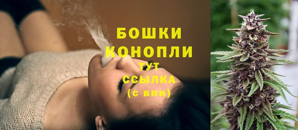 дмт Бронницы
