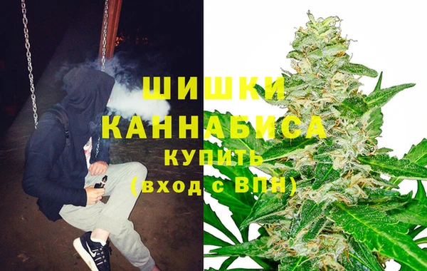 молекула духа Бугульма