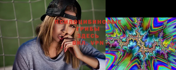 дмт Бронницы