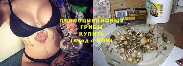 MESCALINE Белокуриха
