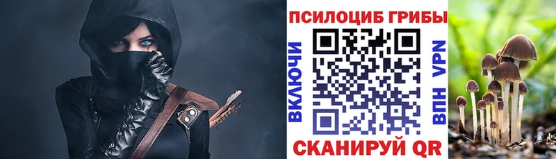 площадка состав  Верхняя Пышма  Галлюциногенные грибы MAGIC MUSHROOMS  где купить  
